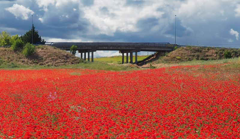 El cielo puede esperar 