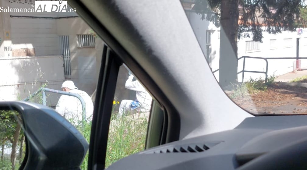 El Salamanca UDS tiene a un grupo de obreros trabajando en el Helmántico desde hace días para contar con todo OK