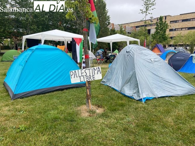 Siete días acampando para apoyar a Palestina: Hemos recibido muchas muestras de apoyo