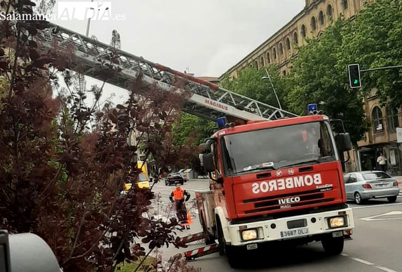 Susto en el paseo de Canalejas por el desprendimiento de unas tejas