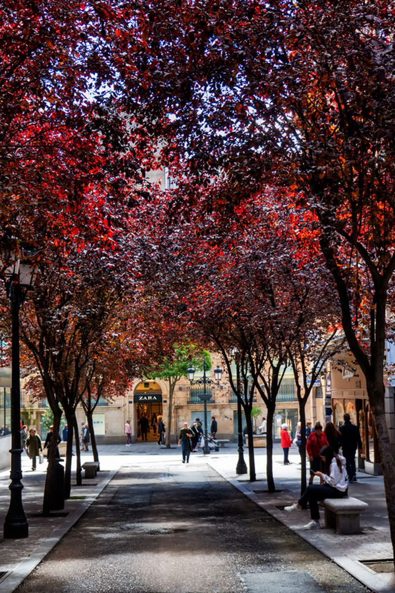 Abre tu mente... y tus ojos