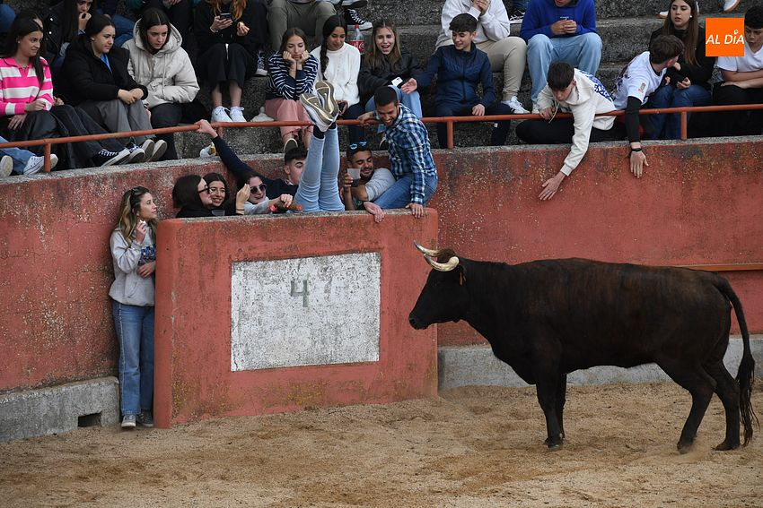 Tarde taurina con amenaza de lluvia en la Santa Cruz de El Bodón