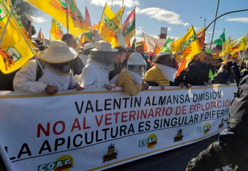 Buena noticia para los apicultores de Salamanca en el Día Mundial de las Abejas: el veterinario de explotación será voluntario