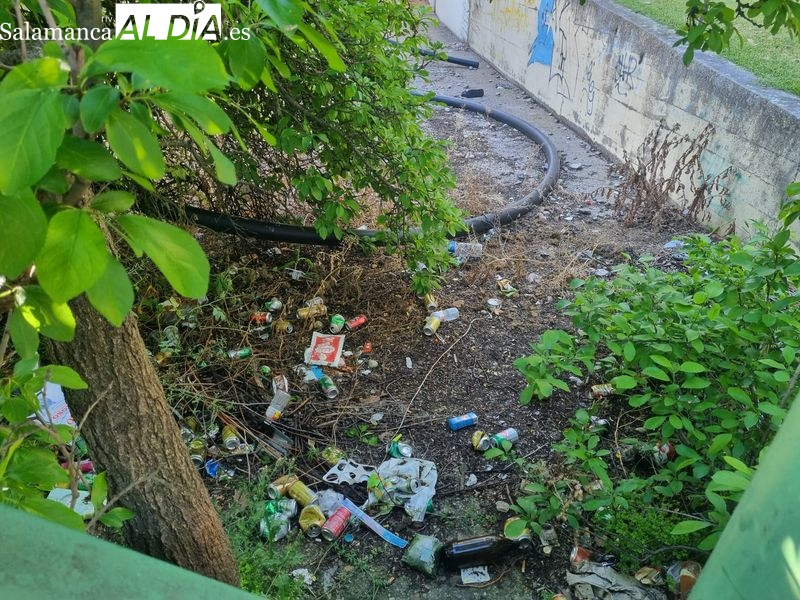 Denuncian la suciedad y desperdicios junto a la pasarela de Vialia