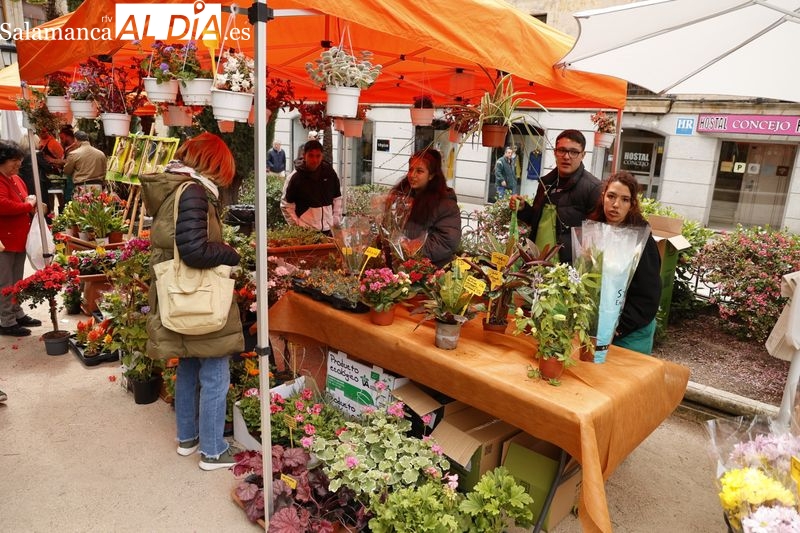 Ya puedes visitar el mercado de las flores en Salamanca