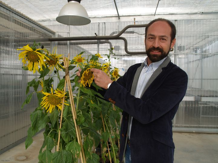 Nuevo hallazgo de investigadores de la USAL que beneficiará al campo