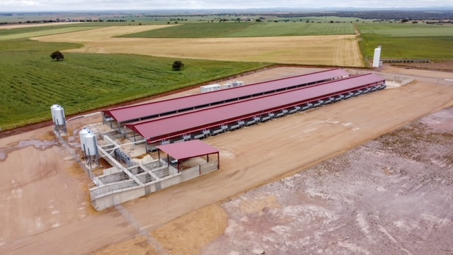 Aviporc y Copasa desarrollan un innovador proyecto para vacuno de cebo en la localidad de Villarmayor