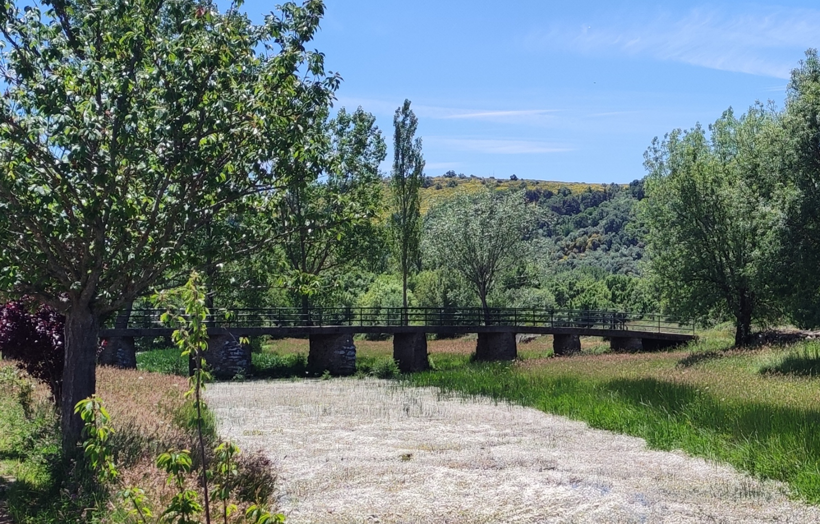No había nadie en la consulta del otro verano