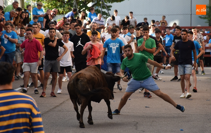 Los Amigos de la Vaca presentarán este martes a los protagonistas de su festejo veraniego