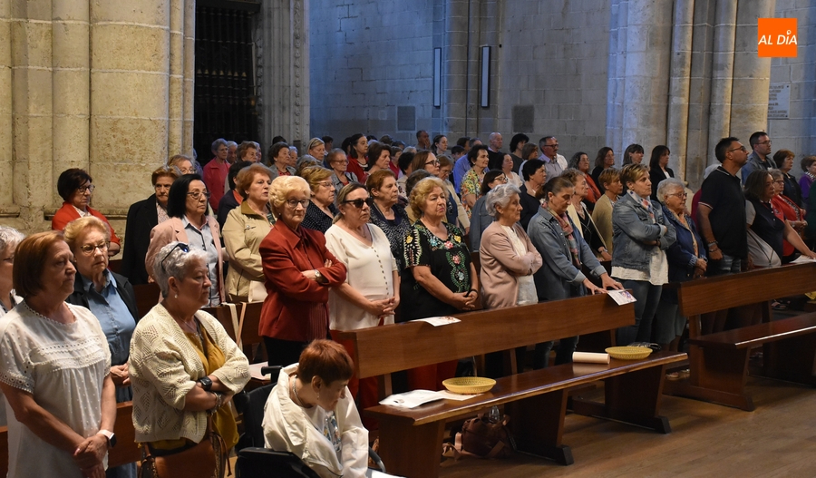 Concurridísimo día grande en honor a San Antonio en la Catedral de Ciudad Rodrigo