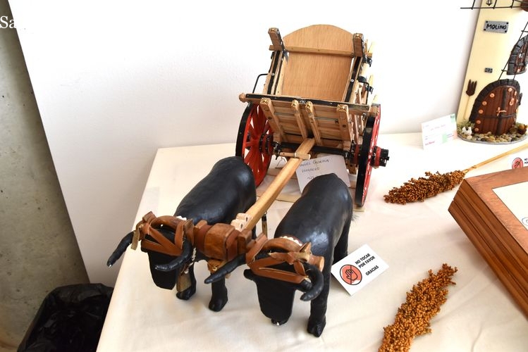 El arte no tiene edad: los mayores de Salamanca exponen sus creaciones