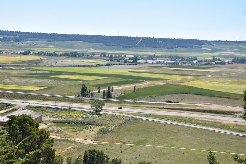 Cenefa amarilla de retama