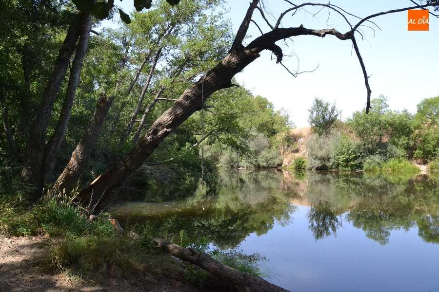 Cruz Roja llevará a cabo el viernes una recogida de basuraleza en El Vado