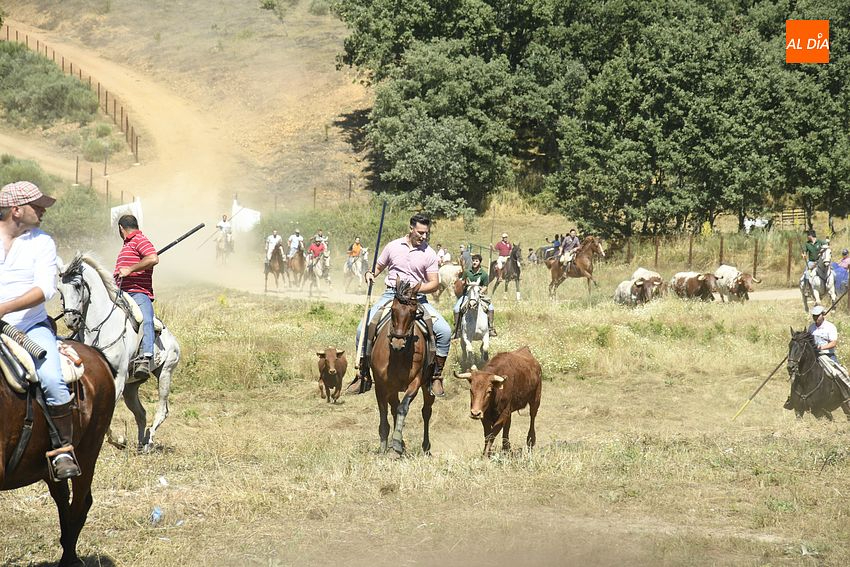 Un segundo encierro a caballo en El Payo culmina las fiestas de San Juan