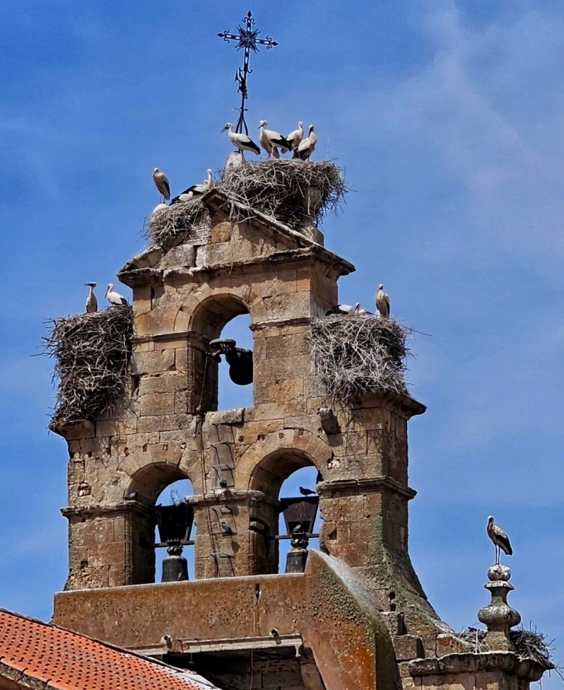 Hogar para compartir 