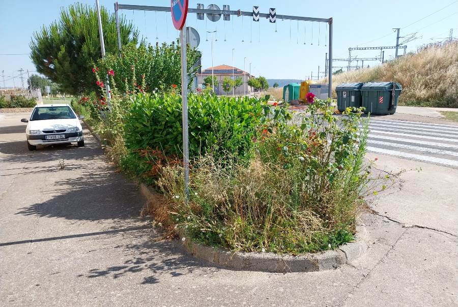 Vecinos del Barrio de San Isidoro denuncian la dejadez en la zona, en especial en la parcela-almacén