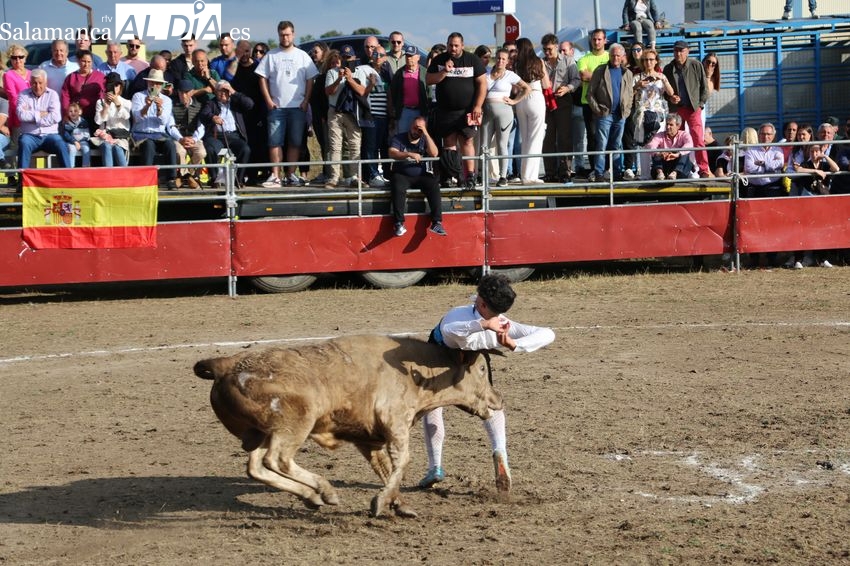 Vistoso festejo taurino en Villar de Peralonso con tentadero de aficionados, recortes y capea
