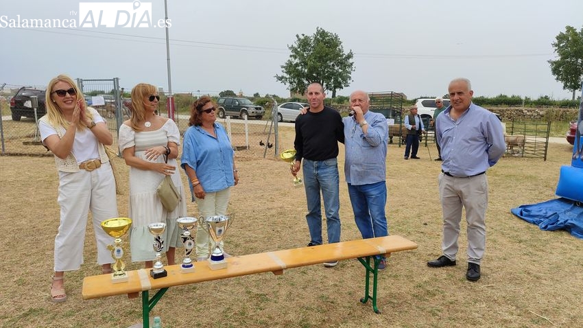 La feria ganadera de Bañobárez se mantiene como anécdota del pasado pero conserva su gran ambiente festivo