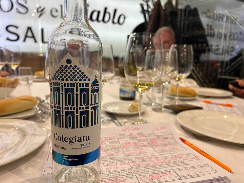    Colegiata, Malvasia 2023, un blanco toresano