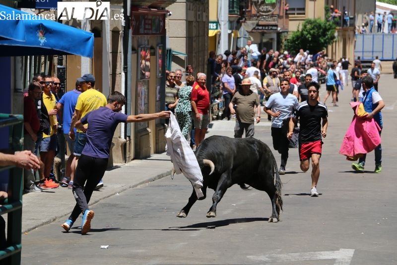 Vitigudino enfila la recta final de las fiestas con un encierro de Rollanejo y Andrés Celestino