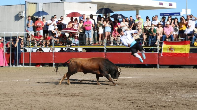 Festejos taurinos, verbenas y coches locos protagonizarán la parte lúdica de las fiestas de Villar de Peralonso