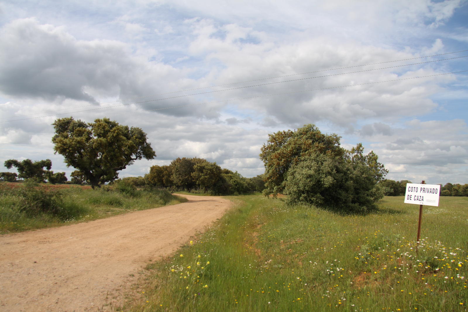 La vía pecuaria como elemento cultural 