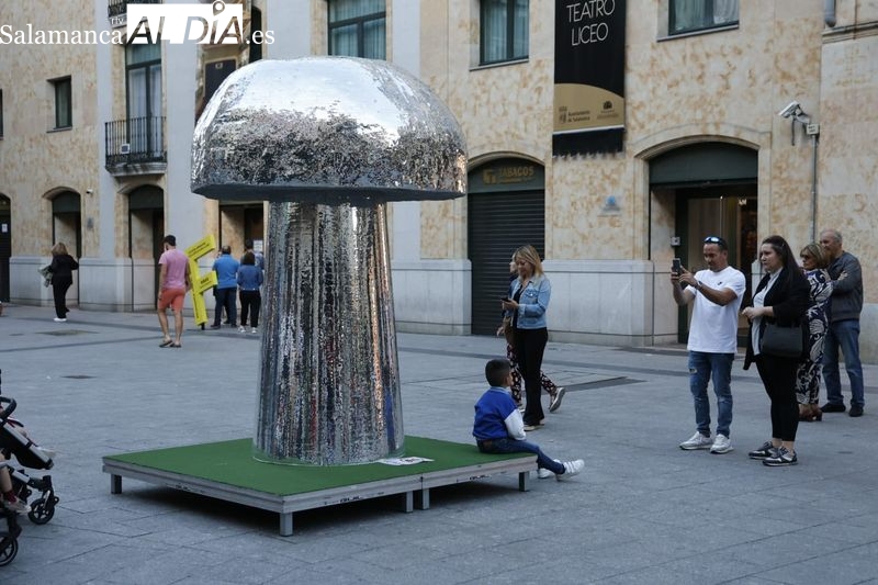 Un mosaico de espejos en forma de seta en la plaza del Liceo