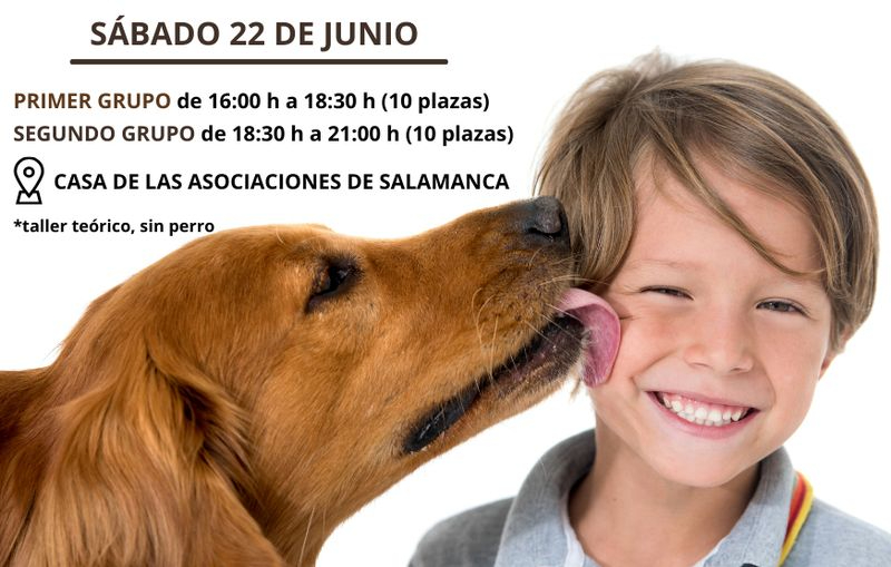 Curso gratuito sobre educación canina para familias con niños entre 3 y 10 años 