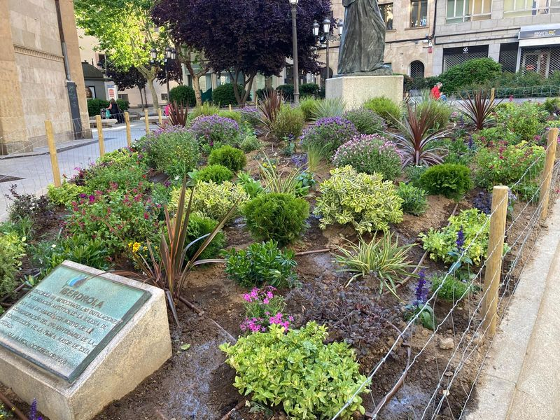 Plantación de 2.600 arbustos y plantas de flor en el parque de La Alamedilla para mejorar su biodiversidad
