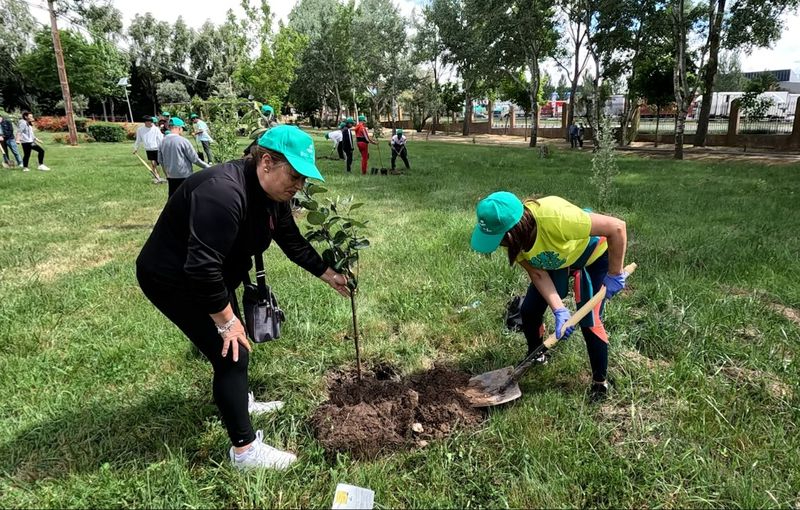 El proyecto Arboleda se planta en Guijuelo