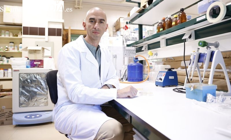 El científico salmantino que desvela la estrecha e intrigante relación entre los microbios y el cáncer