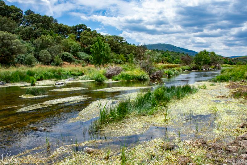 La ruta de los tres ríos, un paraíso de la Reserva Natural de la Biosfera