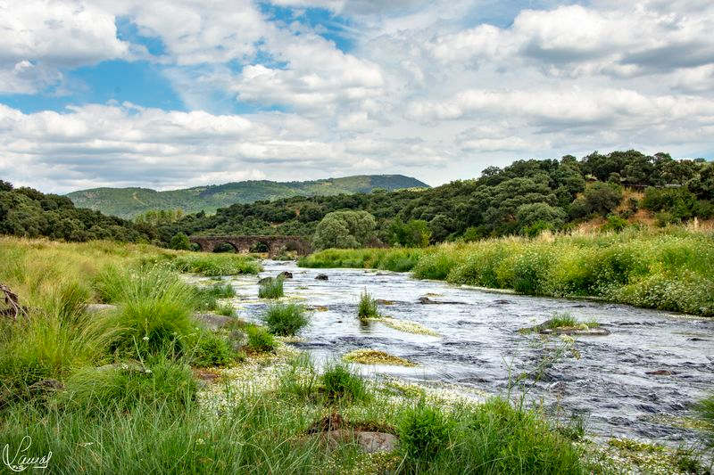 Emociones al aire libre 