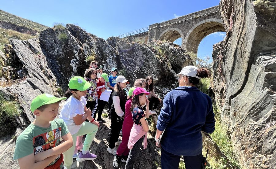Siega Verde enseñará del 14 al 16 de junio grabados que no se suelen mostrar en las visitas