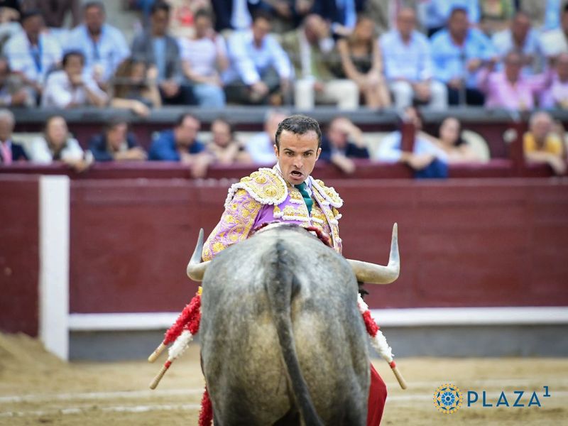 Dos ovaciones a la entrega y verdad de Damián Castaño en Las Ventas