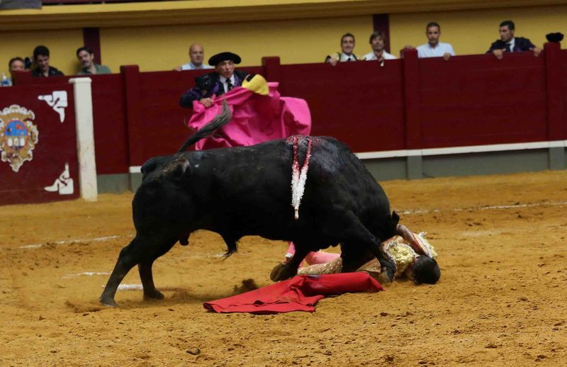 Gonzalo Caballero sufre cuatro fracturas en el húmero como consecuencia de su cogida en Alba de Tormes