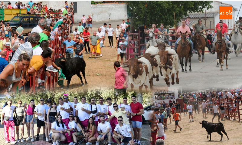 Campillo de Azaba se prepara para celebrar San Antonio durante este fin de semana