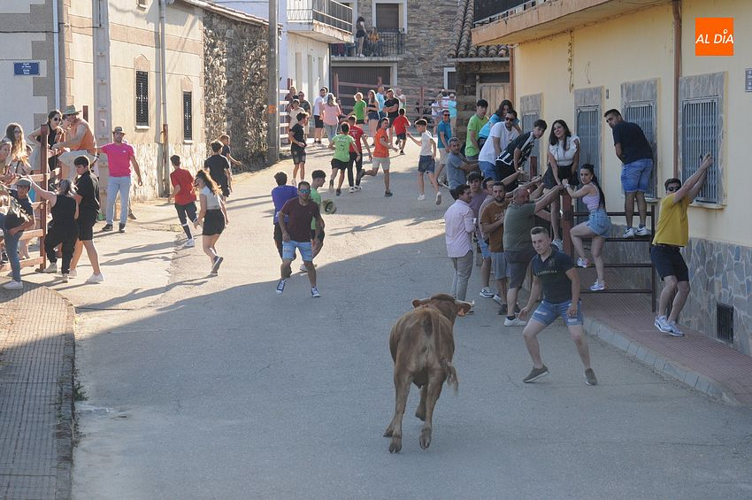 Divertida tarde taurina de San Juan en Robleda