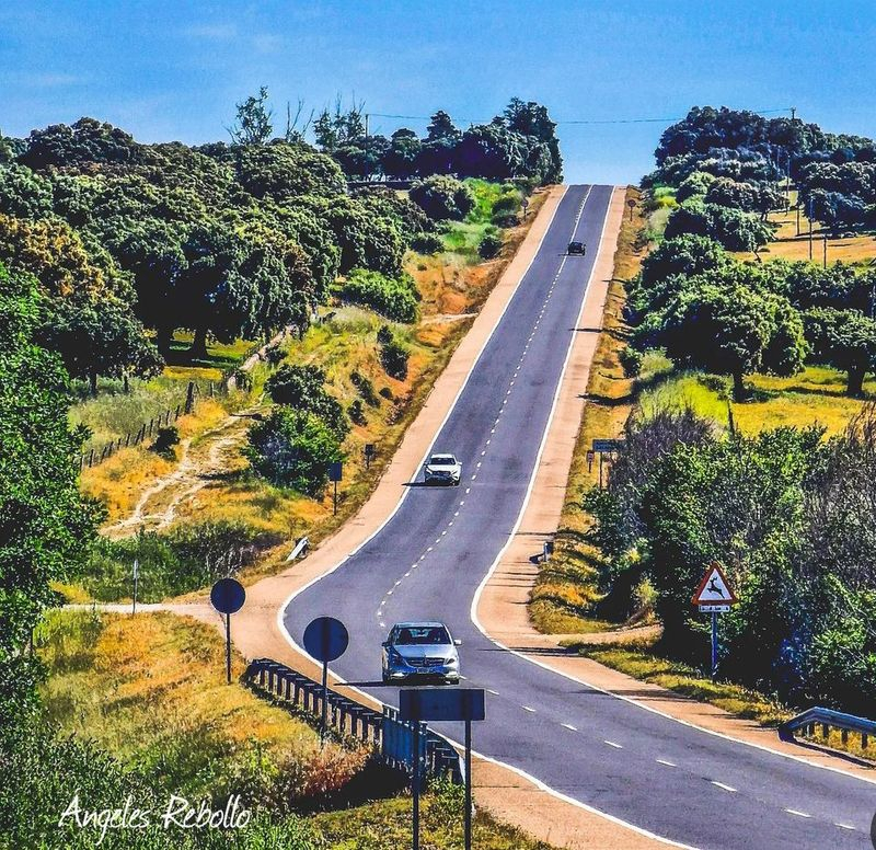 En busca del destino 