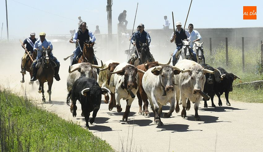 Comida popular, encierro a caballo y clase de toreo para poner fin al Corpus en La Fuente de San Esteban