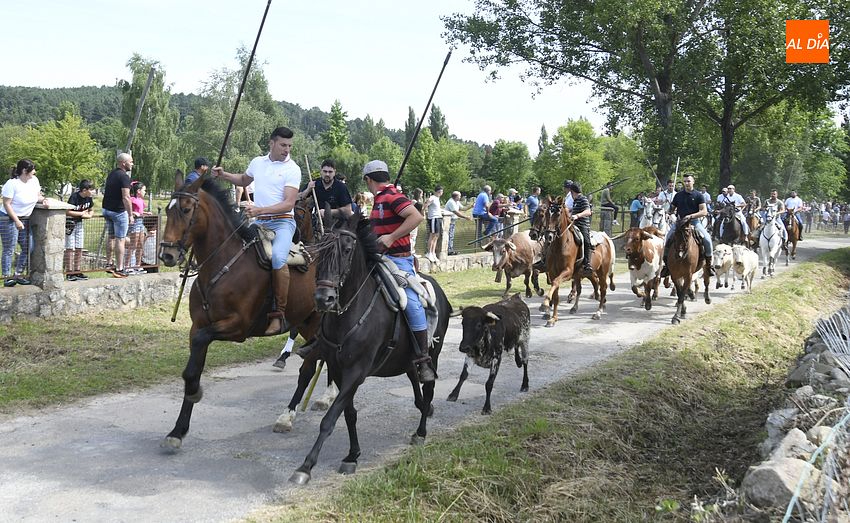 Un rapidísimo encierro a caballo deja a los navasfrieños con ganas de más