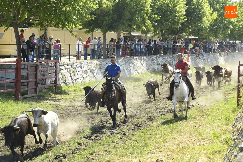 Un segundo encierro a caballo despereza la mañana de lunes en Sancti Spíritus