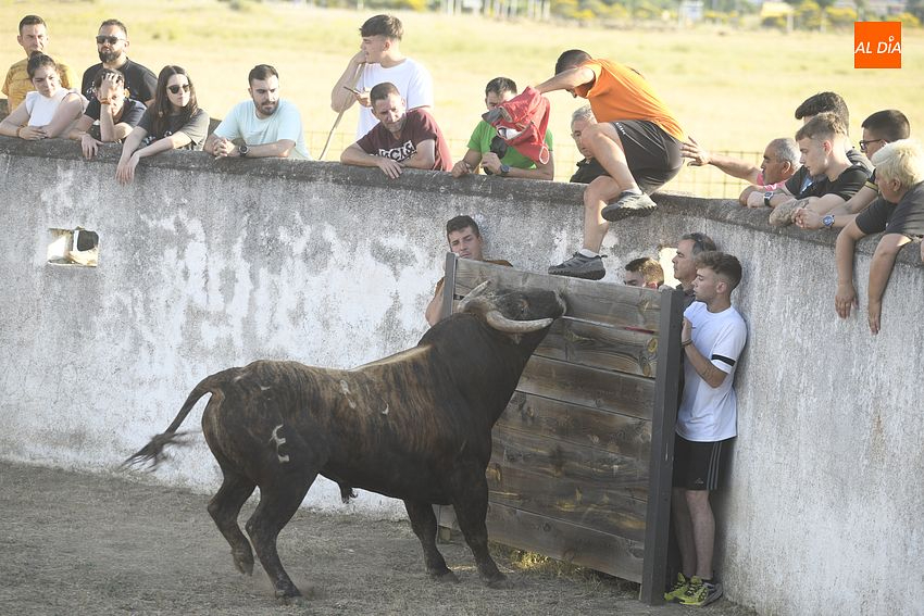 Una capea pone el fin provisional al Corpus de Sancti Spíritus