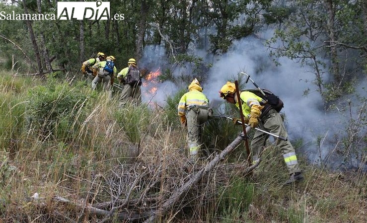 Permanece controlado el fuego declarado en Zamarra que ha calcinado 14 hectáreas