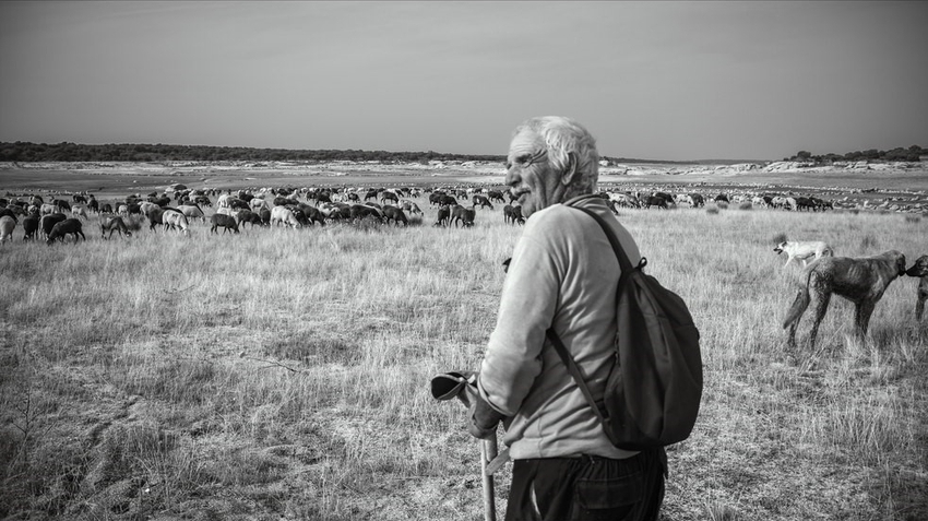 Últimos días para participar en el  Concurso fotográfico El pantano y su entorno, del Ayuntamiento de Sardón de los Frailes 