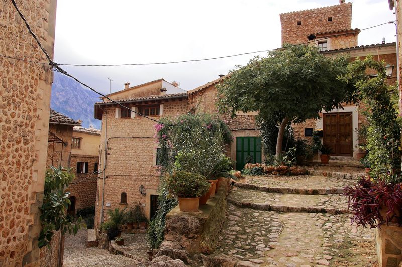 Transición Ecológica convoca ayudas por valor de 20 millones para proyectos locales innovadores