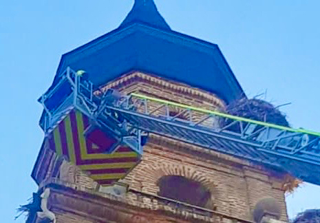 Bomberos de Peñaranda rescatan a una cigüeña atrapada en la torre de la iglesia parroquial 