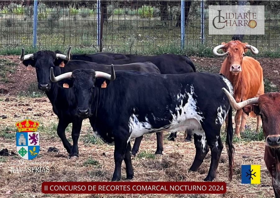 Un tributo a Estopa y un nuevo Concurso Comarcal de Recortes, entre las actividades de Navasfrías	