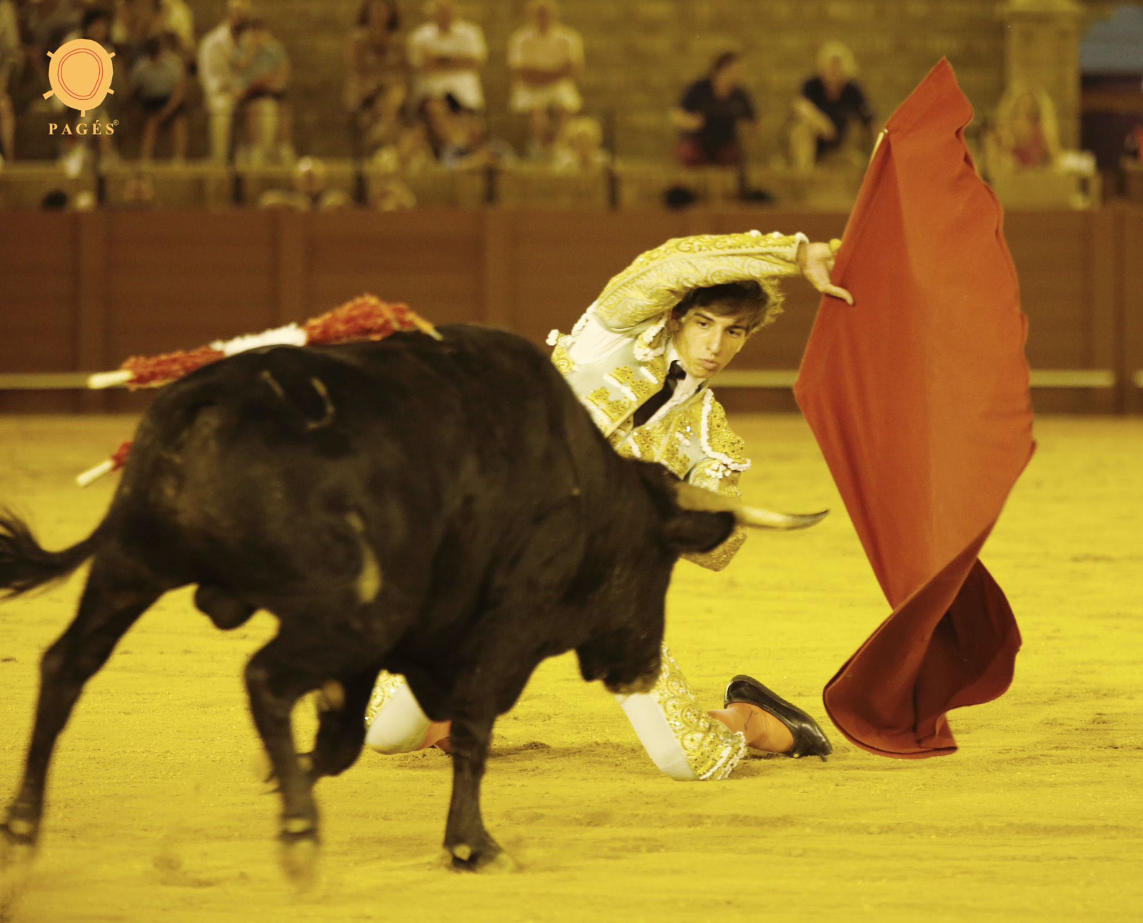 Importante actuación de Julio Norte en Sevilla