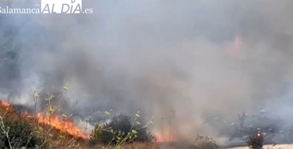 Extinguidos sendos fuegos en Villasexmir (Valladolid) y Villabraz (León) tras calcinar casi 60 hectáreas